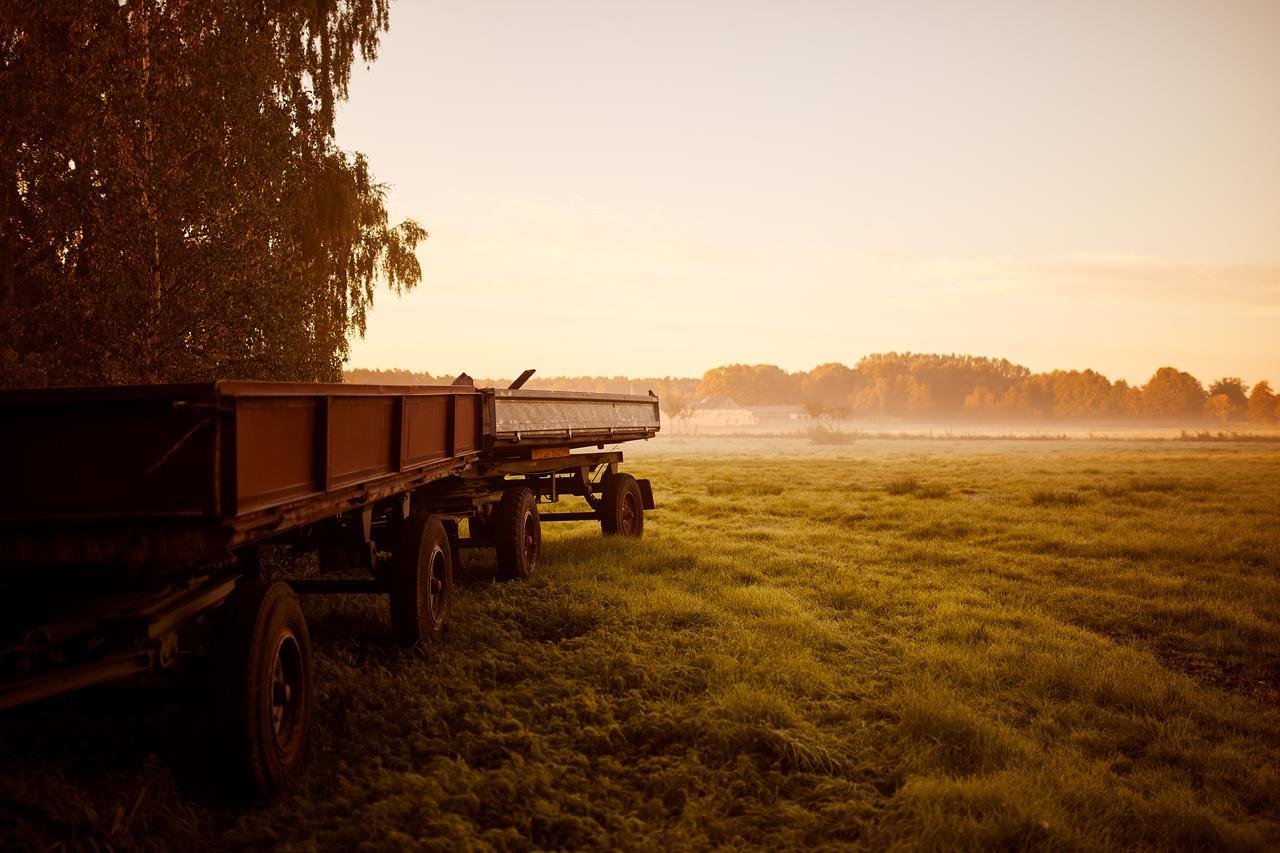ホテル Paulinenhof Belzig エクステリア 写真